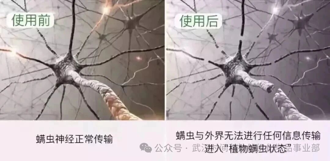 防螨!已成為健康的“新剛需”--武漢時間科技推出紡織品防螨整理劑喜化®植螨零
